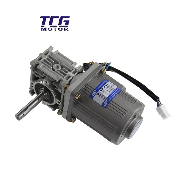 adjustable speed motor