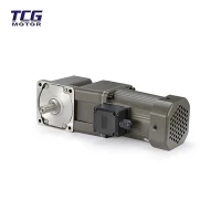Angle dwat AC Gear Motor
